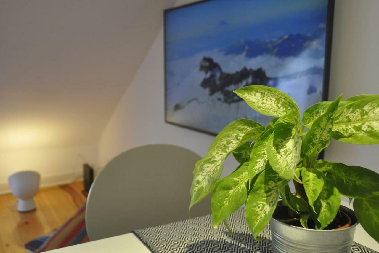 Cozy And Quiet Flat Near Avenida Da Liberdade Apartamento