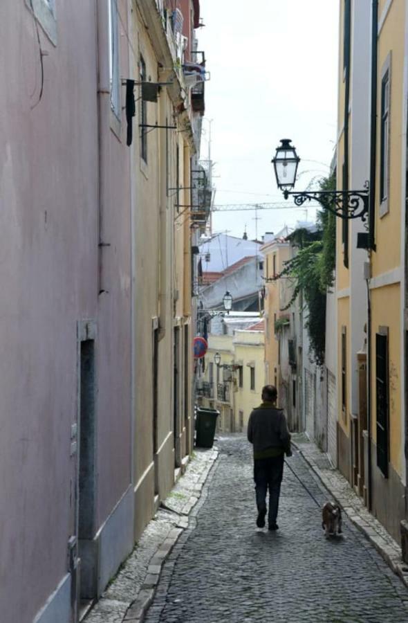 Apartamento Cozy And Quiet Flat Near Avenida Da Liberdade *